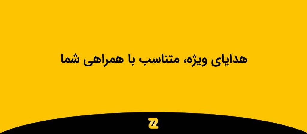 چرا زرین هاست (10)